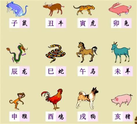 牛 生肖|【十二生肖年份】12生肖年齡對照表、今年生肖 